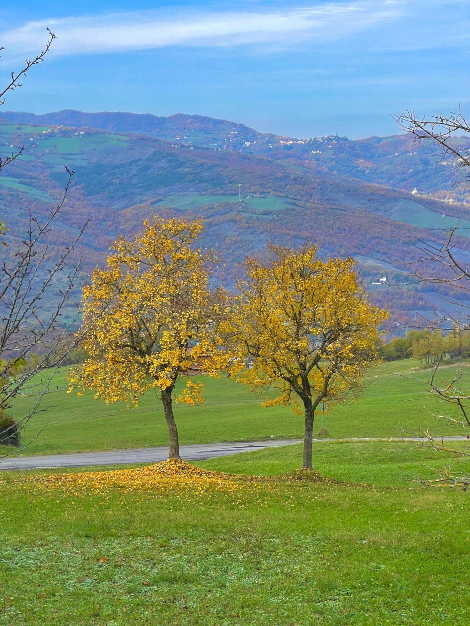 Mazzetti Country House-Vita In Campagna Con Giardino Vimignano-Chiesa Esterno foto