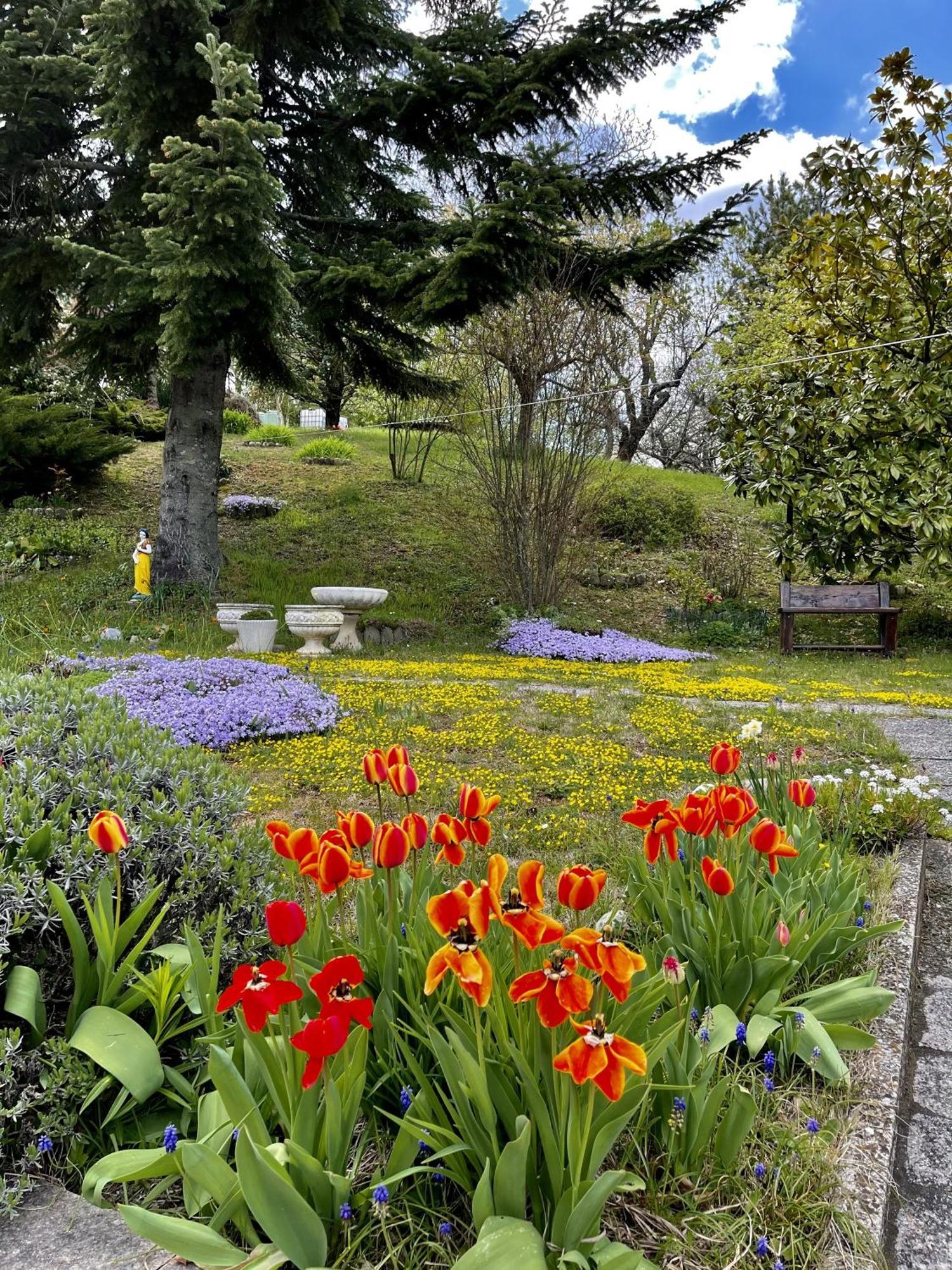 Mazzetti Country House-Vita In Campagna Con Giardino Vimignano-Chiesa Esterno foto