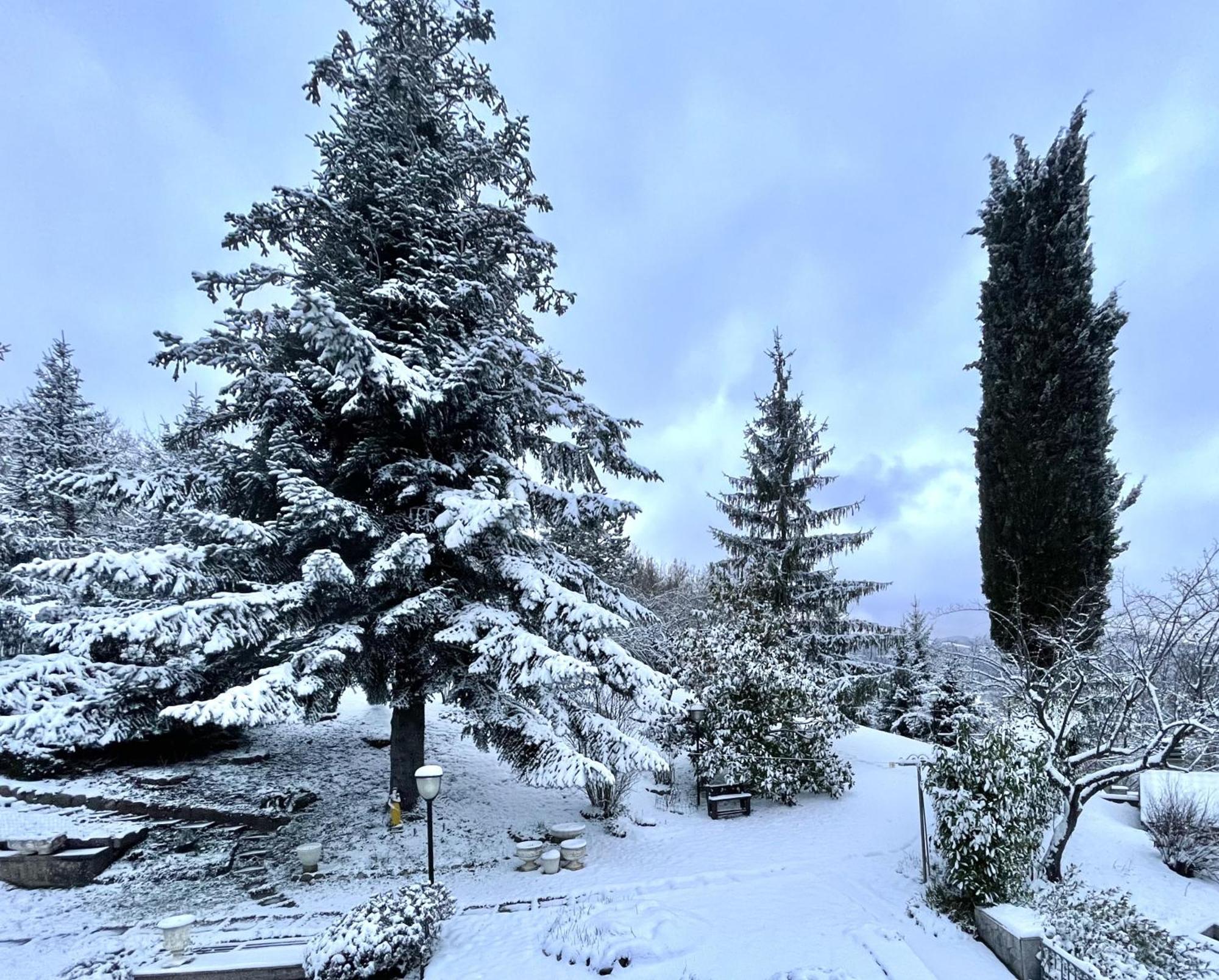 Mazzetti Country House-Vita In Campagna Con Giardino Vimignano-Chiesa Esterno foto