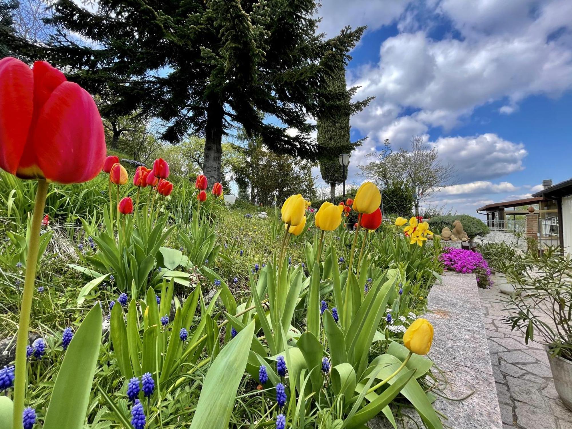 Mazzetti Country House-Vita In Campagna Con Giardino Vimignano-Chiesa Esterno foto