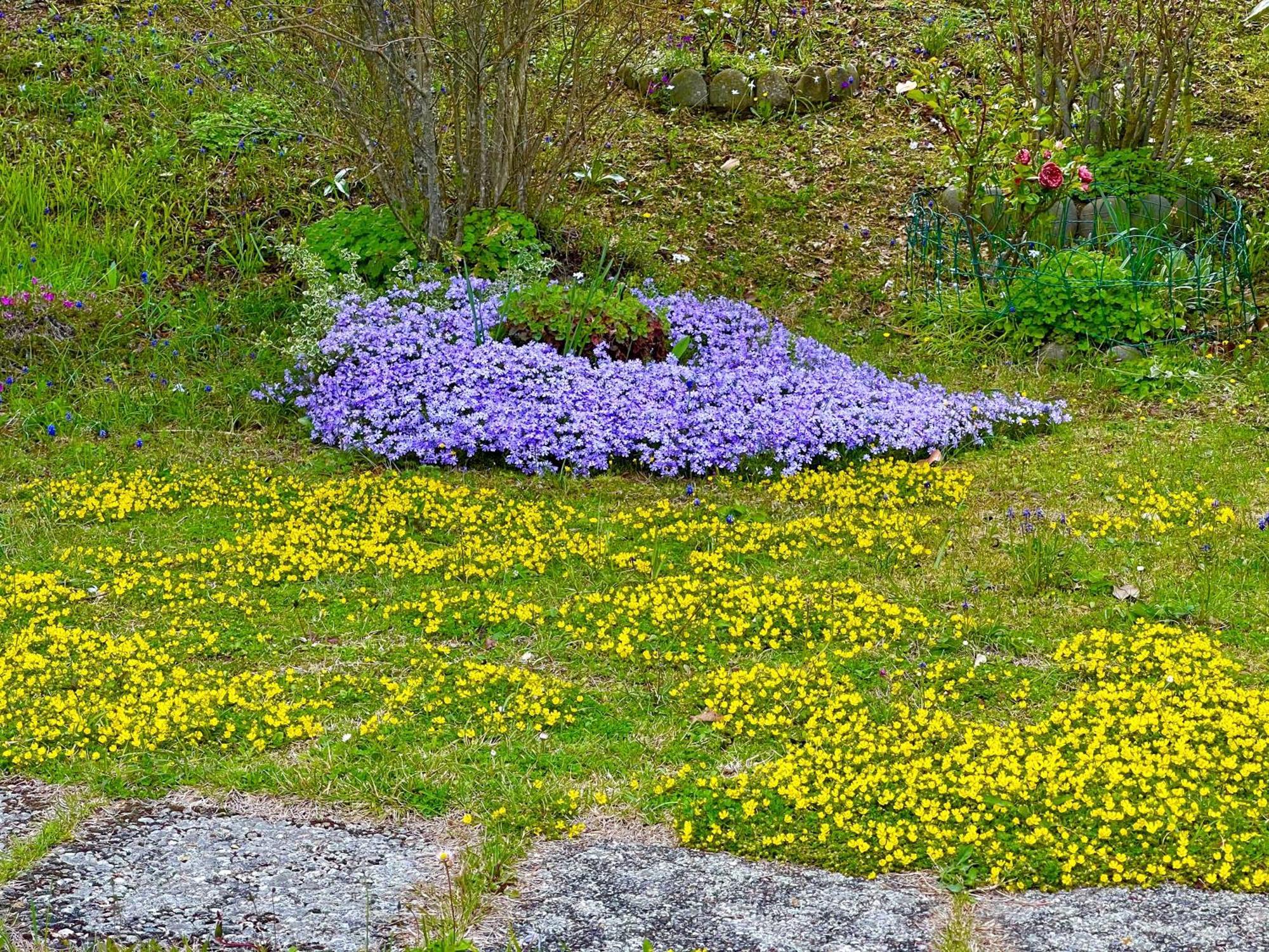 Mazzetti Country House-Vita In Campagna Con Giardino Vimignano-Chiesa Esterno foto