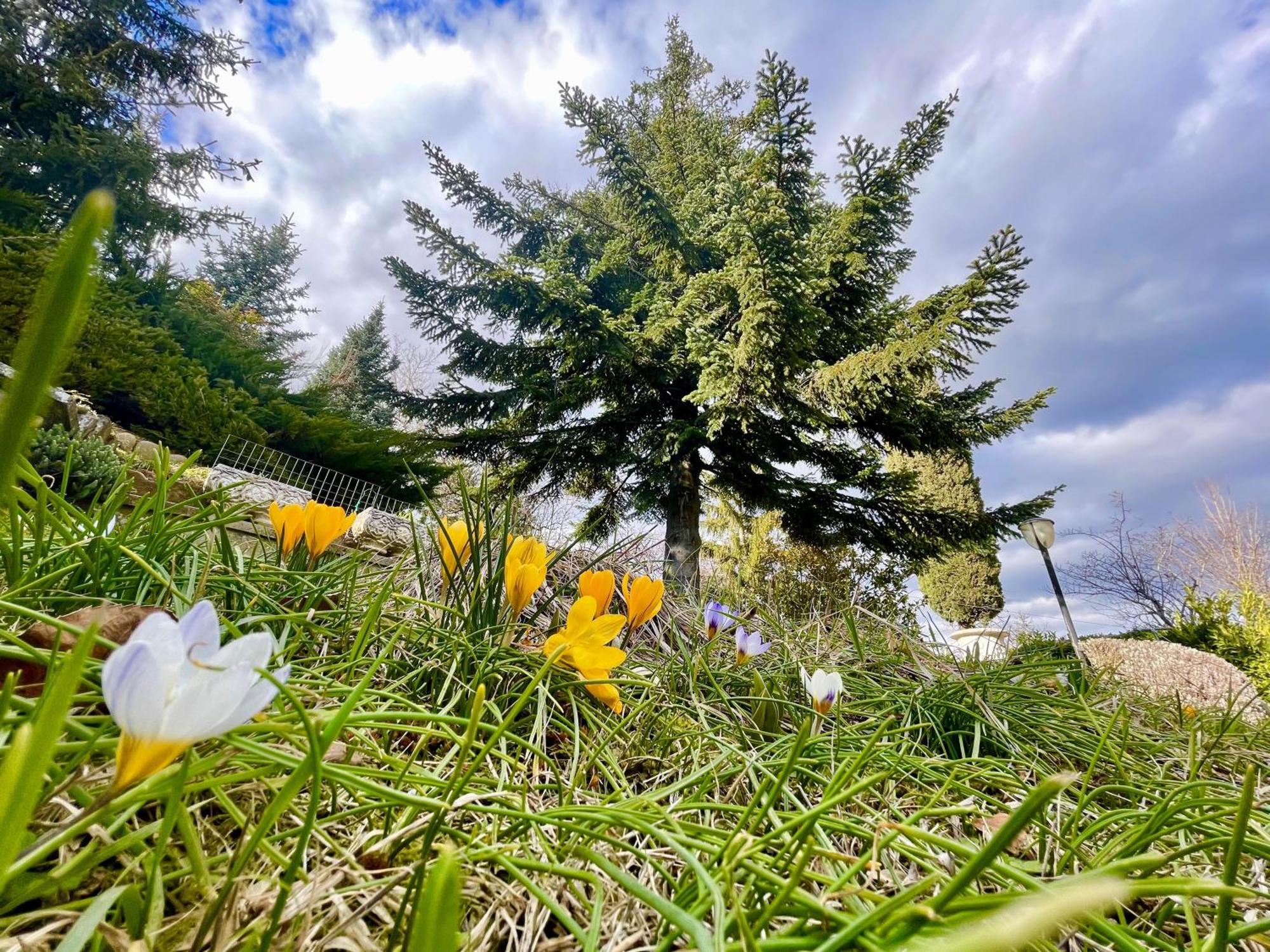 Mazzetti Country House-Vita In Campagna Con Giardino Vimignano-Chiesa Esterno foto