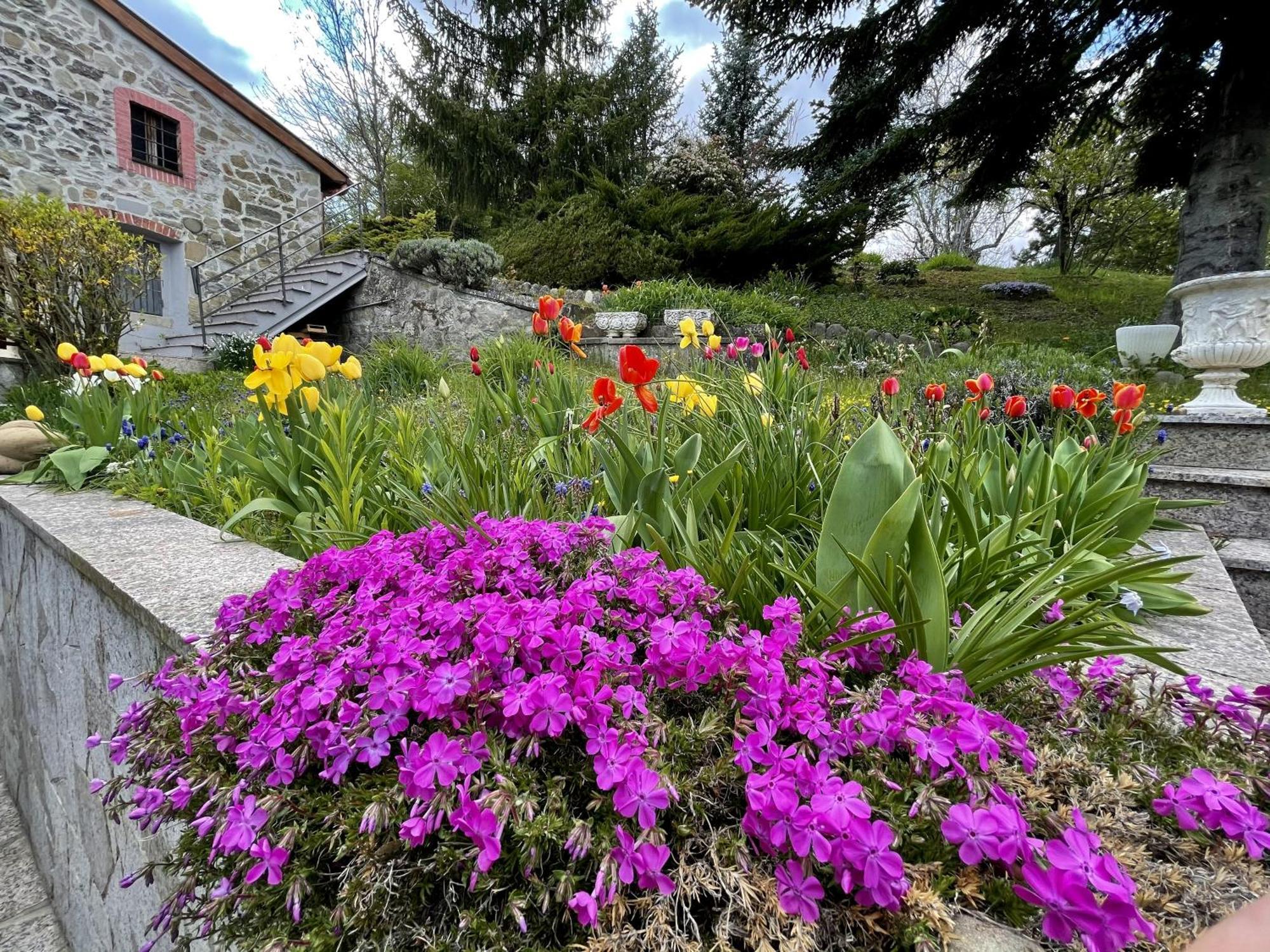 Mazzetti Country House-Vita In Campagna Con Giardino Vimignano-Chiesa Esterno foto